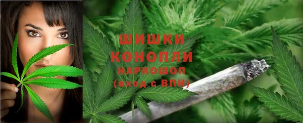 эйфоретик Волоколамск